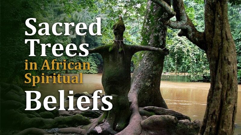 Sacred Trees in African Spiritual Beliefs