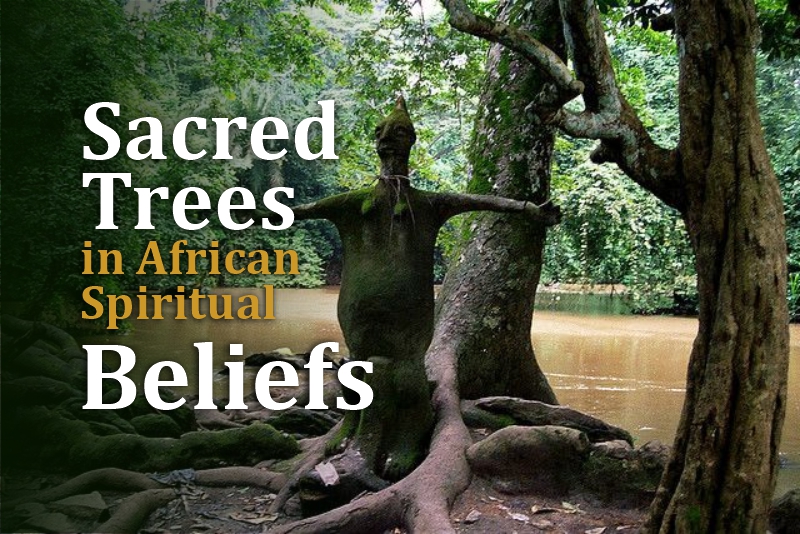 Sacred Trees in African Spiritual Beliefs